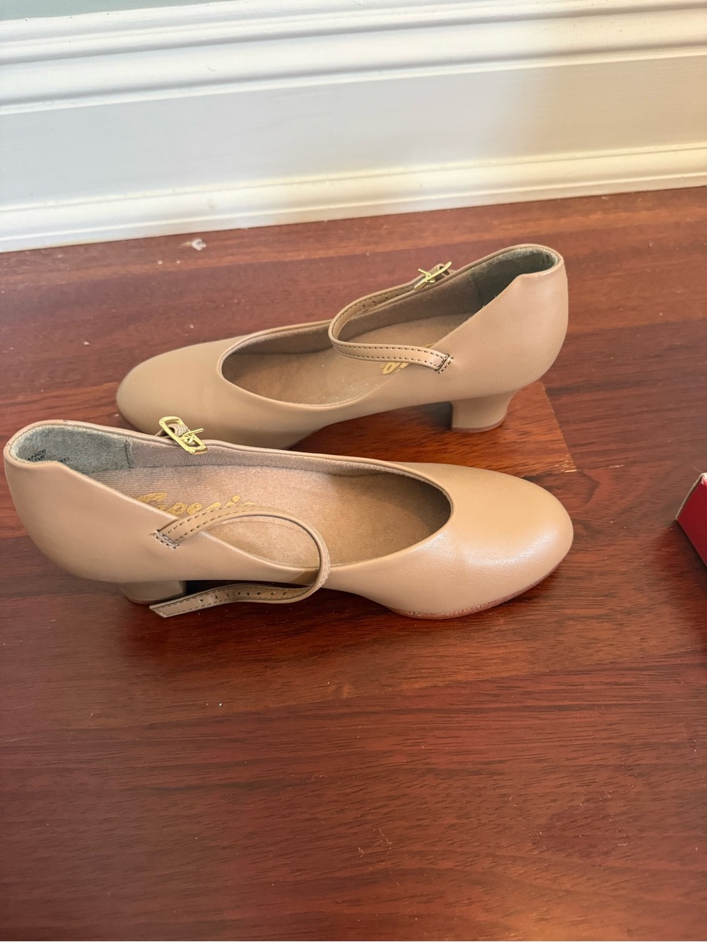 Women’s Nude Pointe Shoes